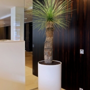 GREEN ART<br/> O fosta sectie de politie a fost transformata in cladire de birouri. Proiectul realizat de Kletz incorporeaza cu grija natura in elementele de design interior, creand astfel o atmosfera mai prietenoasa si placuta. Posibilitatile nelimitate de design si finisare pe care le ofera HI-MACS® au condus la crearea acestor vase de flori cu forme diverse: cilindrice, rectangulare, patrate sau circulare. Pentru Kletz “geometria naturala contrasteaza cu forma rigida a unui vas” devenind astfel o adevarata opera de arta: arta verde (Green Art). <br/> Design: KLETZ www.kletz.be <br/> Fabricator: SAAM www.saam.be<br/> Material: HI-MACS® Nougat Cream S201<br/> Foto: Guido Van Damme - Studio Momentum